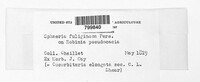 Image Associated With the Occurrence